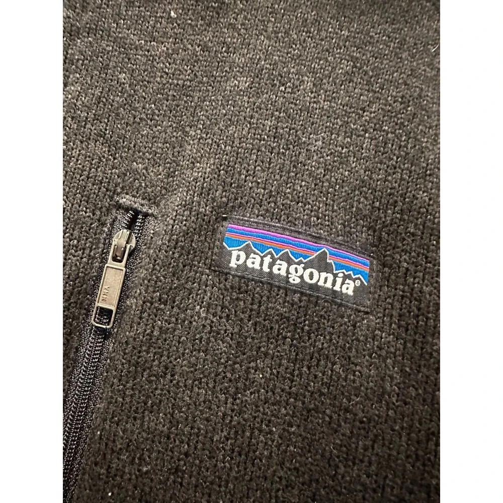 Patagonia better sweater